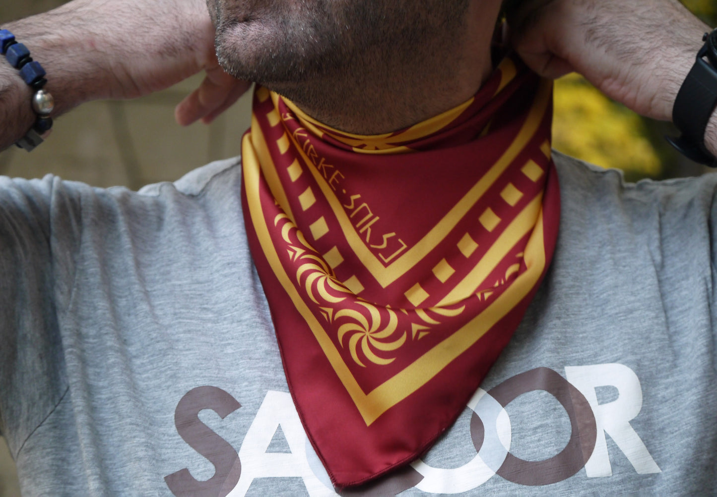 “ბორჯღალის მოტივის დიზაინი შარფზე”